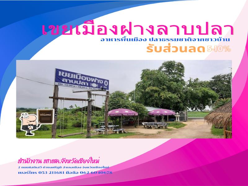 ร้านอาหาร เขยเมืองฝาง ลาบปลา 