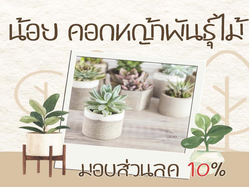 ร้านน้อย ดอกหญ้าพันธุ์ไม้