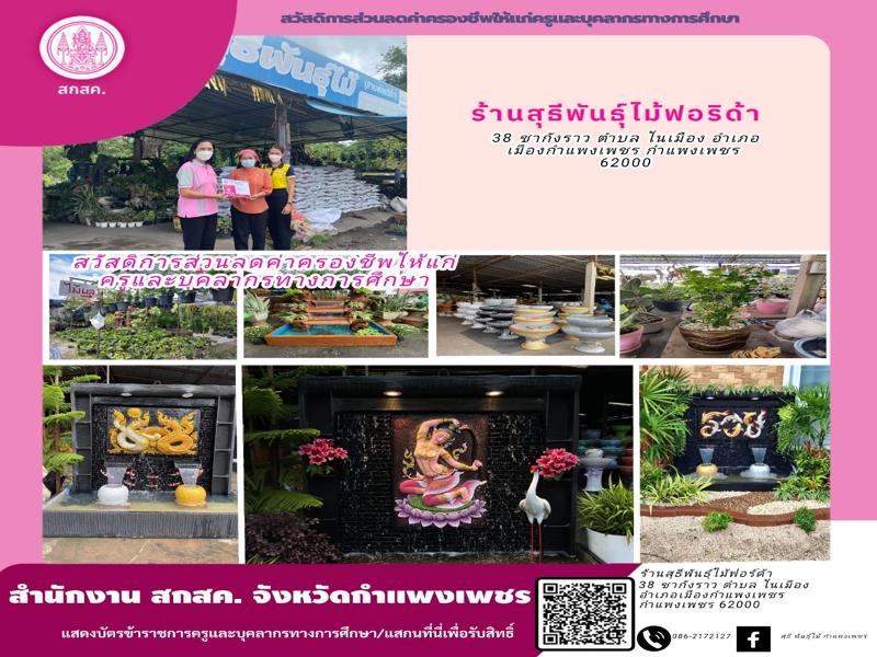 ร้านสุธีพันธุ์ไม้ฟอริด้า